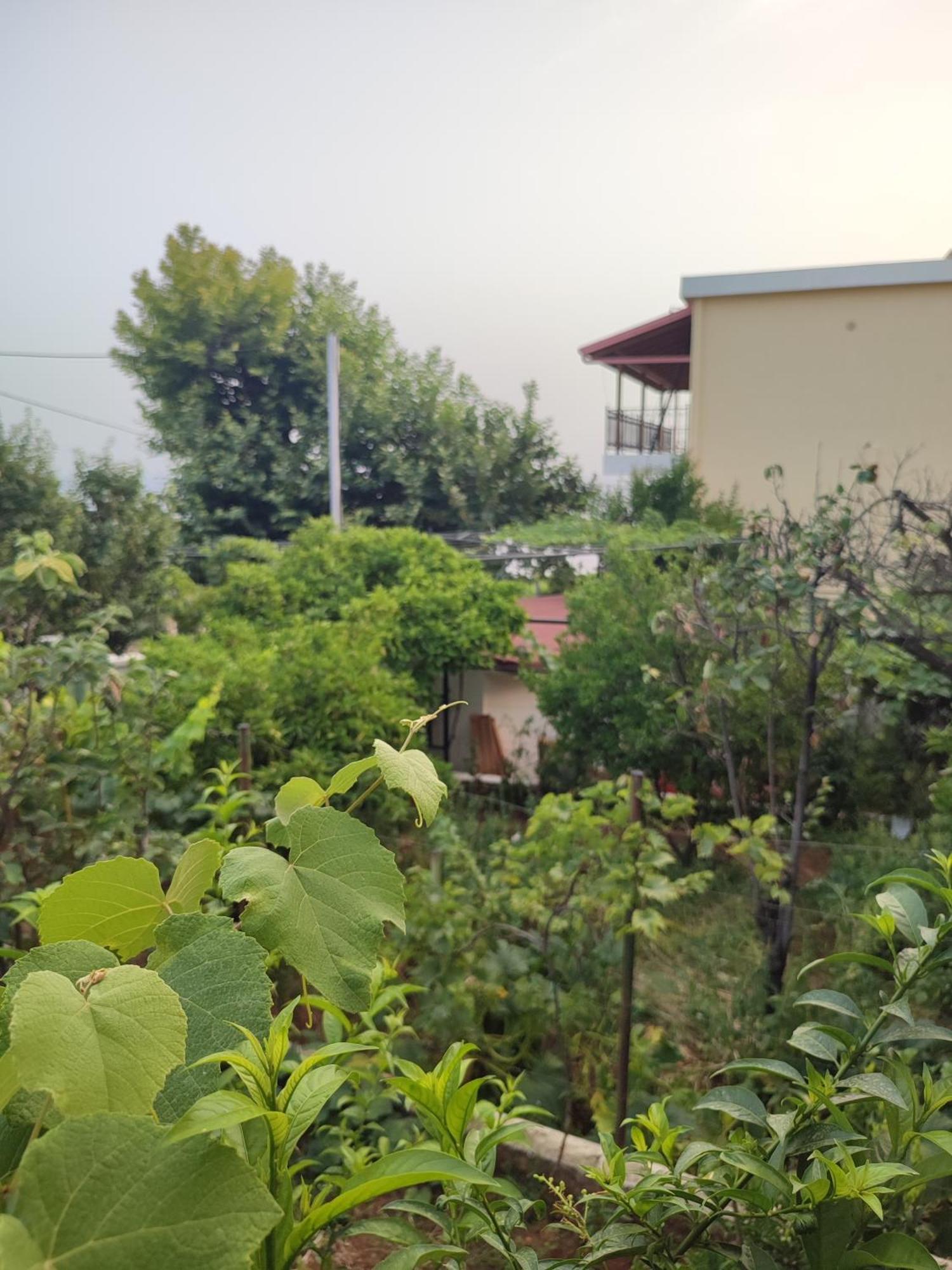 Villa Janilla Dhermi Exterior photo