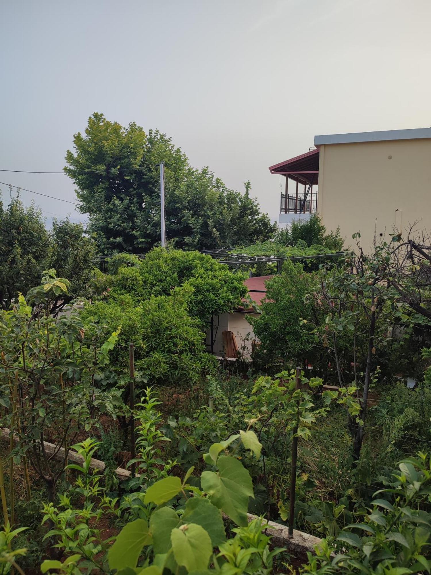 Villa Janilla Dhermi Exterior photo